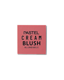 Pastel Pastel Allık Profashion No 41 1 adet