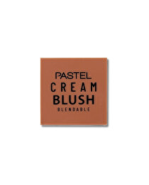 Pastel Pastel Allık Profashion No 45 1 adet