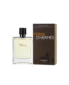 Hermes Hermes Terre D'Hermes Edt Erkek Parfüm 100ml