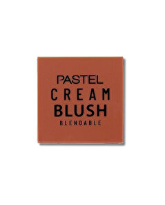 Pastel Pastel Profashion Cream Brush Allık No:47