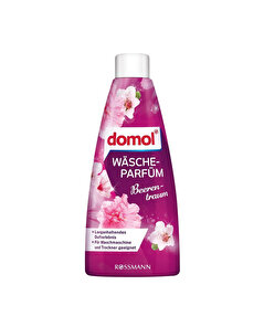 Domol Domol Çamaşır Parfümü Orman Meyve Rüyası 250 ml