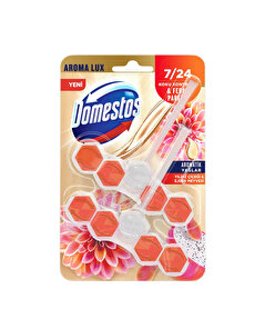 Domestos Domestos Tuvalet Bloğu Aroma Lux Yıldız Çiçeği & Ejder Meyvesi 100 gr