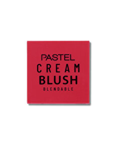 Pastel Pastel Profashion Cream Brush Allık No:48