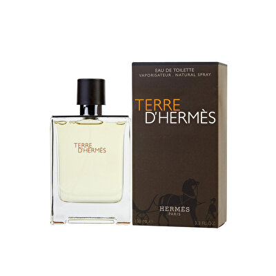 Hermes Hermes Terre D'Hermes Edt Erkek Parfüm 100ml