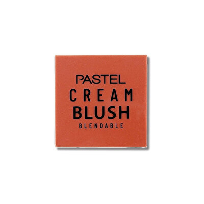 Pastel Pastel Profashion Cream Brush Allık No:46