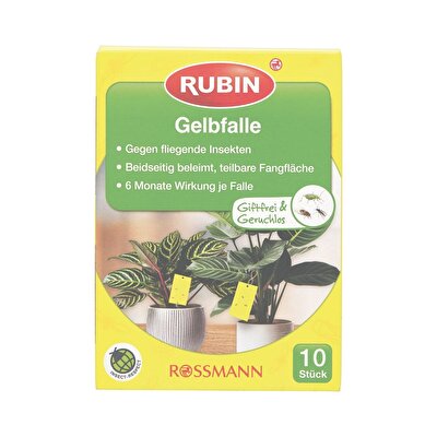 Rubin Rubin Sinek Tuzağı Bitkiler İçin 10 Adet