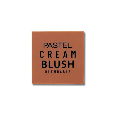 Pastel Pastel Allık Profashion No 45 1 adet