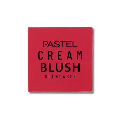 Pastel Pastel Profashion Cream Brush Allık No:48