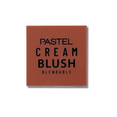 Pastel Pastel Profashion Cream Brush Allık No:49