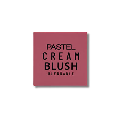 Pastel Pastel Allık Profashion Cream Blush 55